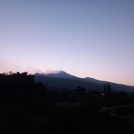 Etna Green House Villa Zafferana Etnea Buitenkant foto