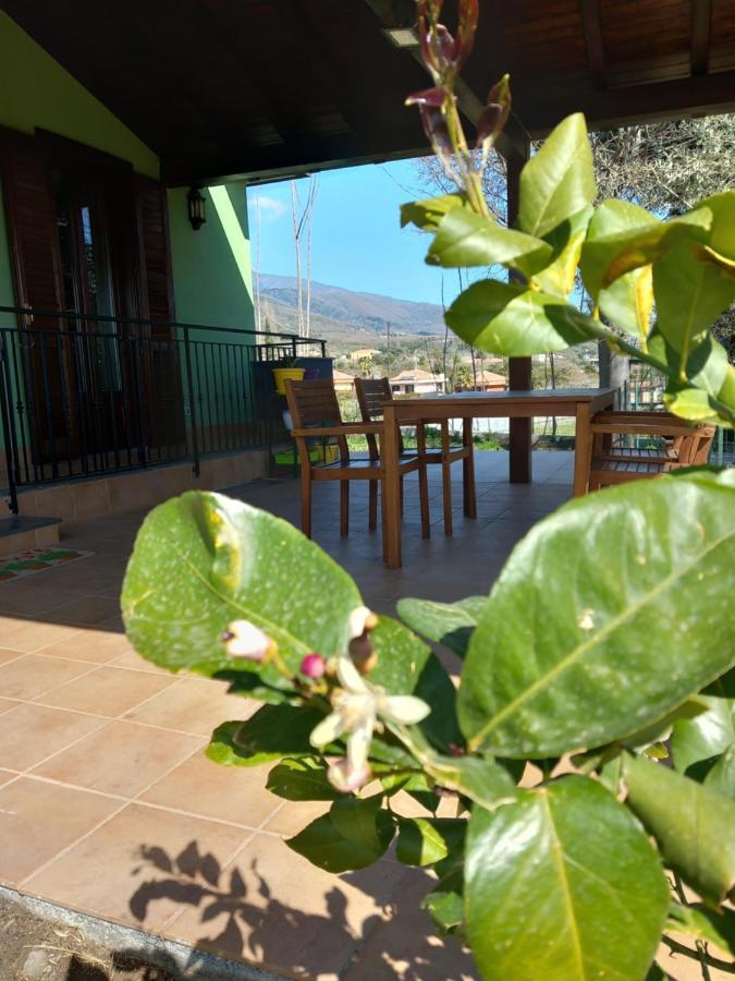 Etna Green House Villa Zafferana Etnea Buitenkant foto