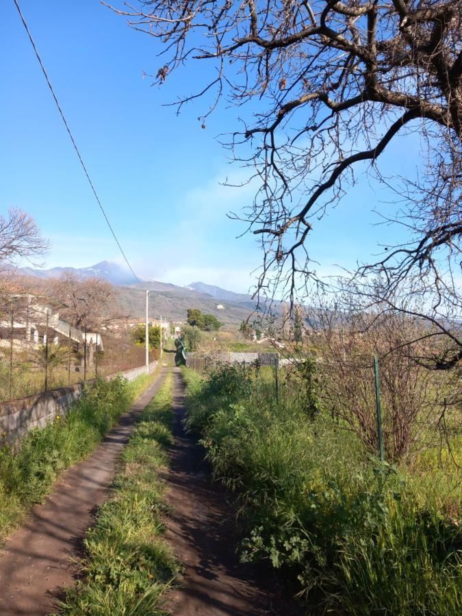 Etna Green House Villa Zafferana Etnea Buitenkant foto