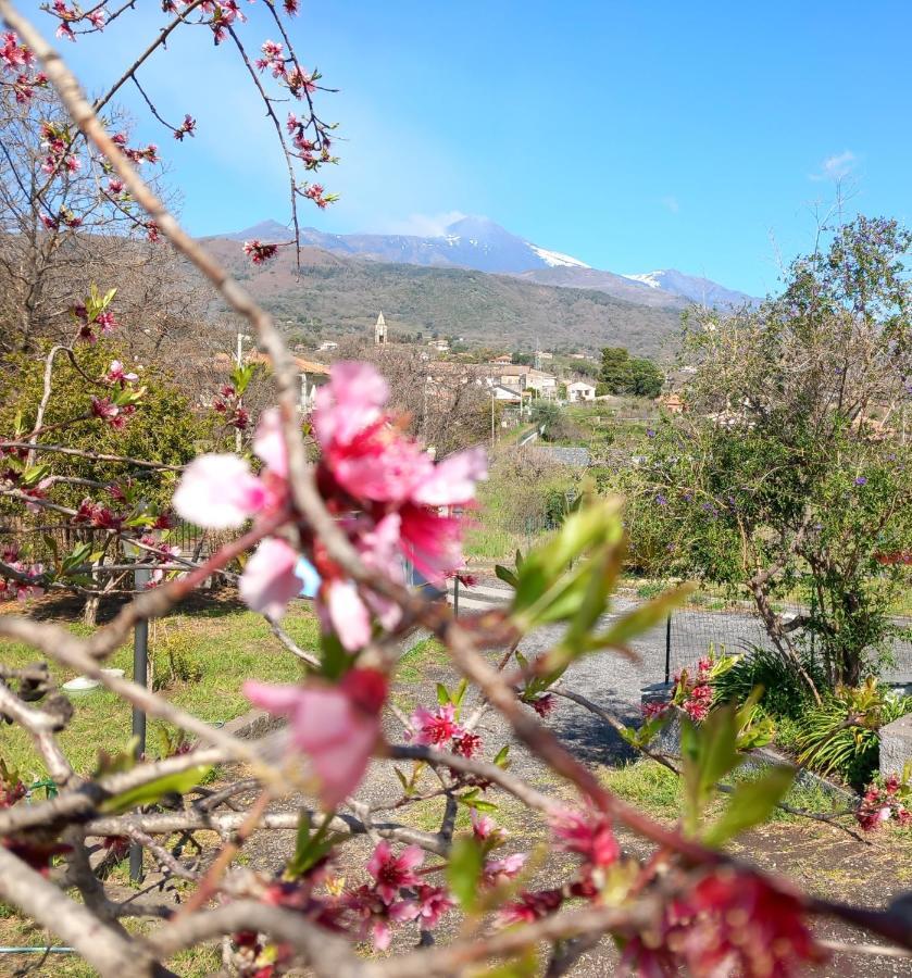 Etna Green House Villa Zafferana Etnea Buitenkant foto