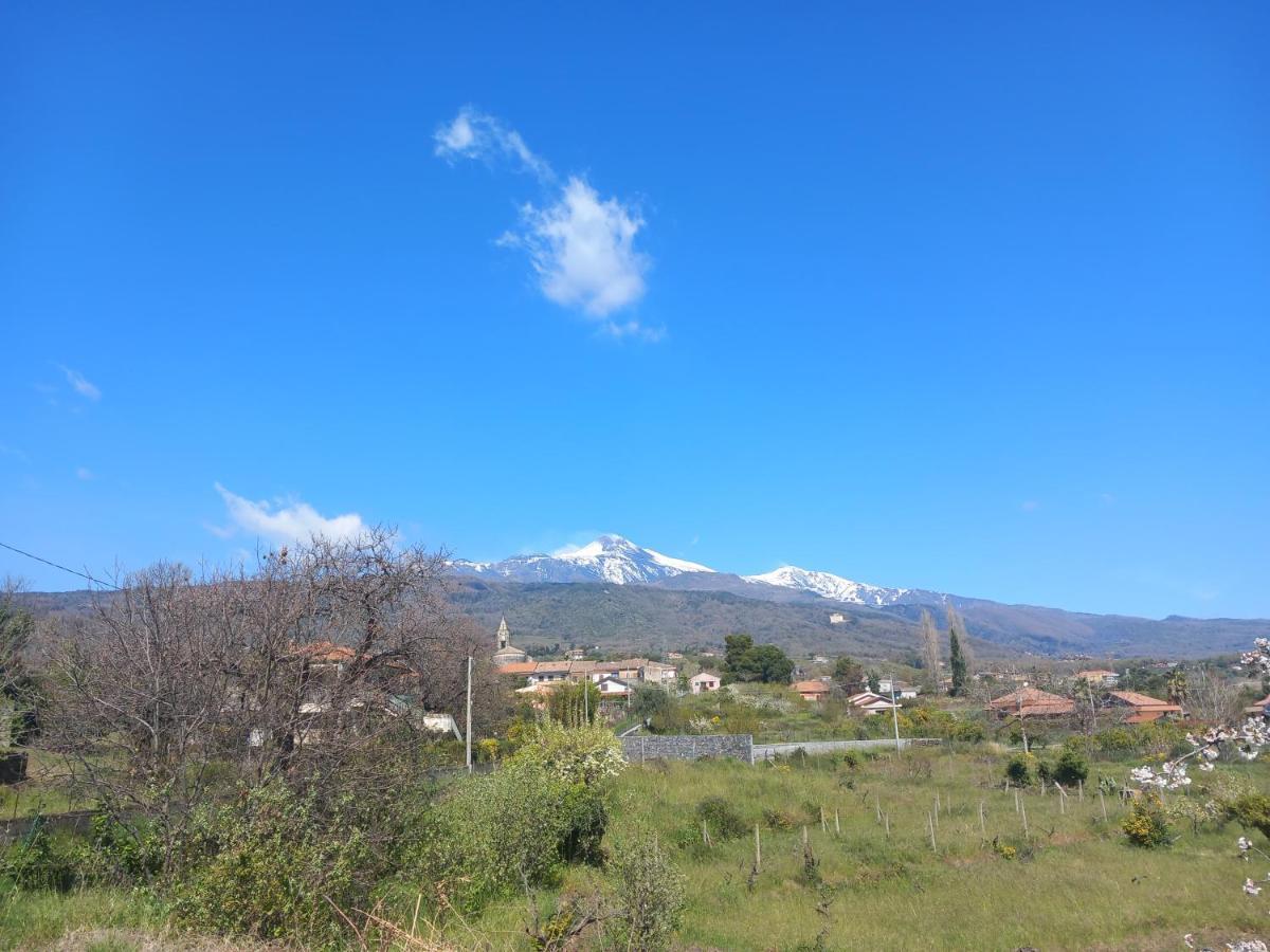 Etna Green House Villa Zafferana Etnea Buitenkant foto