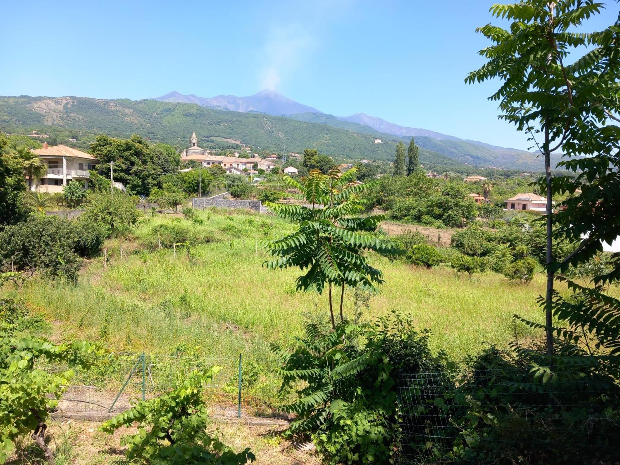 Etna Green House Villa Zafferana Etnea Buitenkant foto